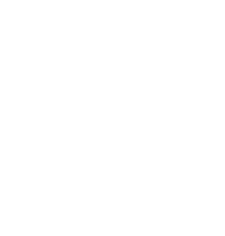 White icon indicating email