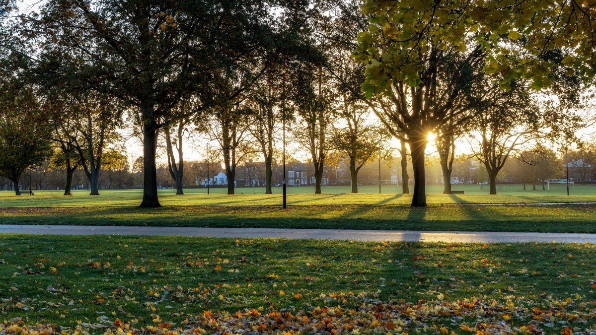 Public park on an autumn morning